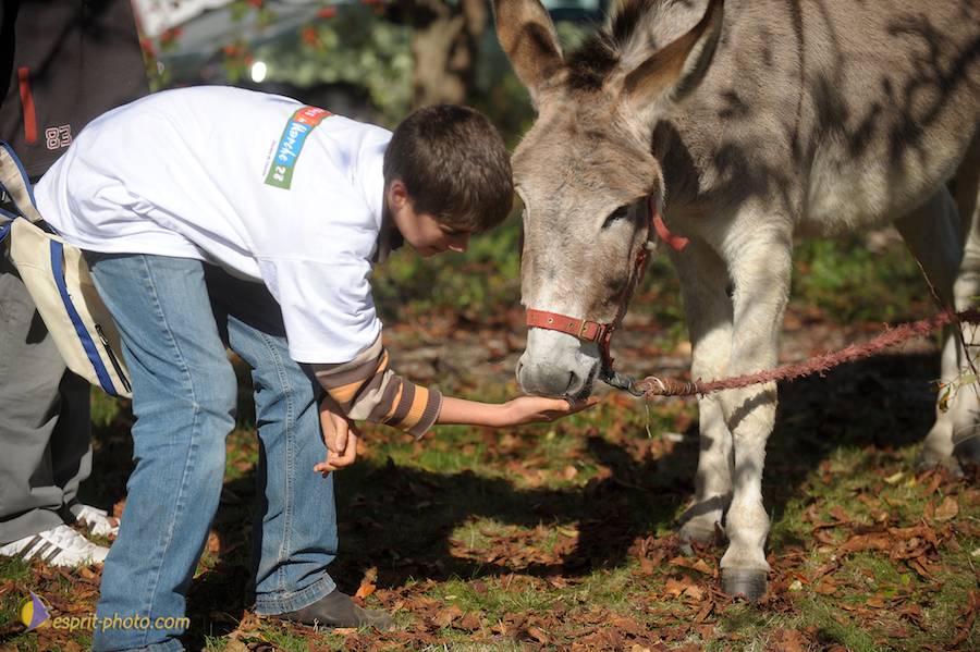Nom de l'image : D30083709_1_(c)Norbert-JUNG — Description :